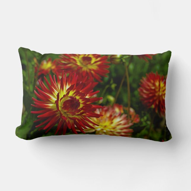 Coussin Rectangle Fleur de dahlia d'été (Recto)