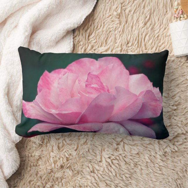 Coussin Rectangle Fleur de rose rose céleste   (Couverture)