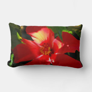 Coussin Rectangle Fleur d'Hibiscus rouge au soleil