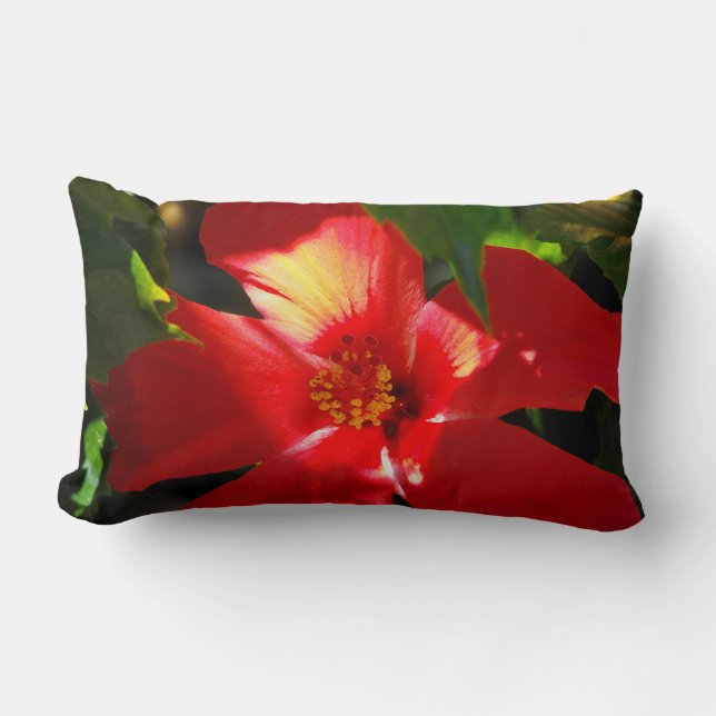Coussin Rectangle Fleur d'Hibiscus rouge au soleil (Recto)