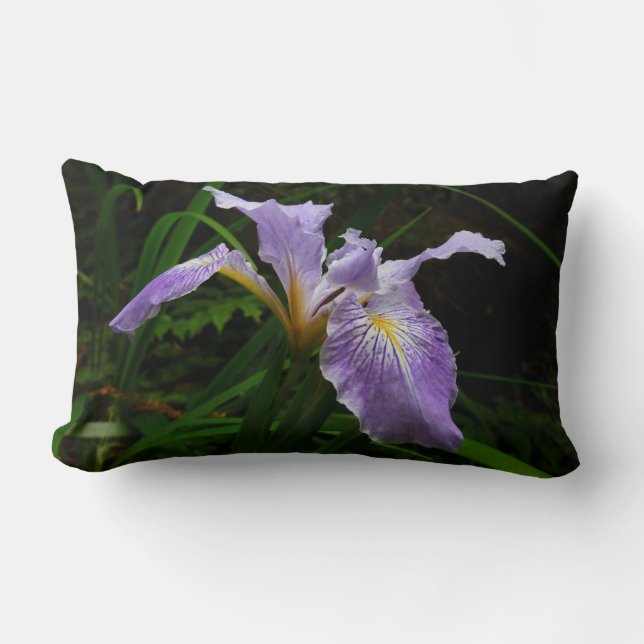 Coussin Rectangle Fleur d'Iris sauvage Floral pourpre (Recto)