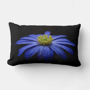 Coussin Rectangle Fleur Gerbera Blue Daisy sur un arrière - plan noi
