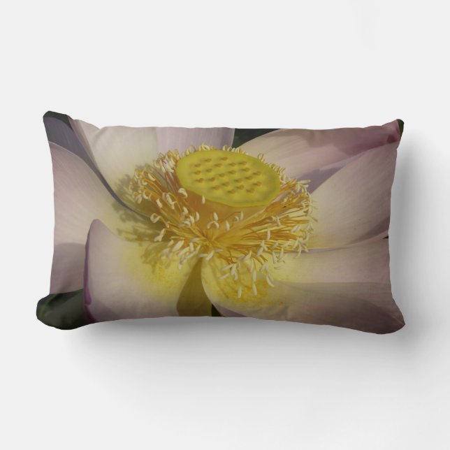 Coussin Rectangle Fleur Lotus Rose I Floral Été (Recto)