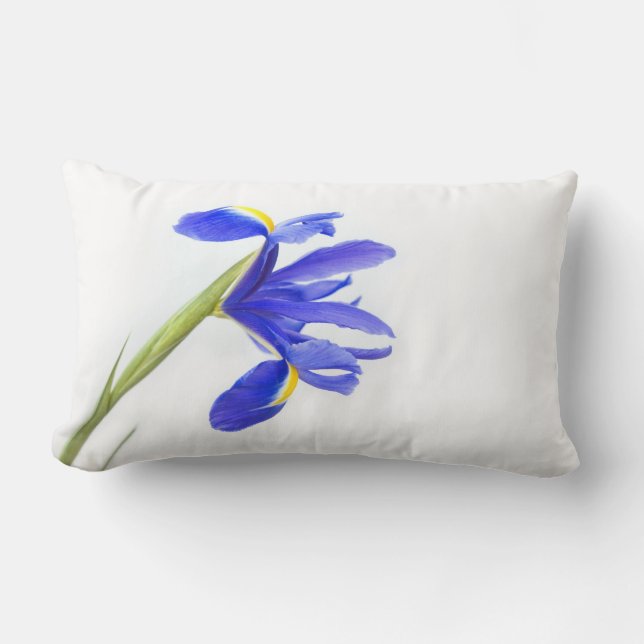 Coussin Rectangle Fleur pourpre d'iris (Recto)
