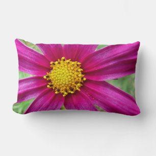 Coussin Rectangle Fleur sauvage de Cosmos pourpre