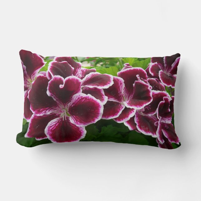 Coussin Rectangle Fleurs de géranium royal Élégant floral bordeaux (Recto)