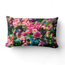 Fleurs de pomme de crabe rose