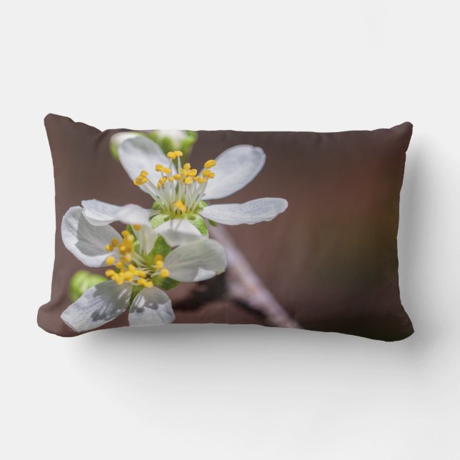Coussin Rectangle Fleurs de prune (Recto)