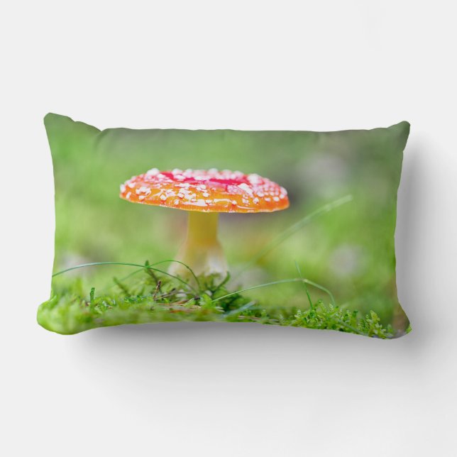 Coussin Rectangle Fliegenpilz (Recto)