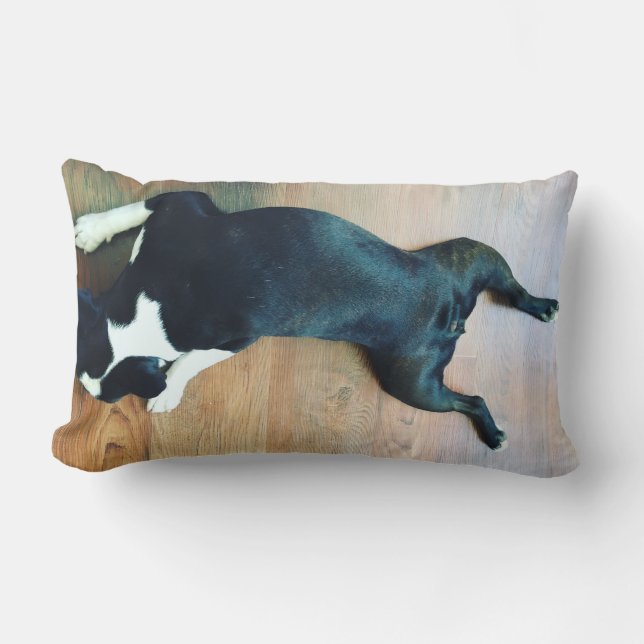 Coussin Rectangle Floc Boston Terrier (Recto)