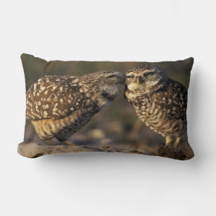 Coussin Rectangle Floride, Fort Myers. Chouette brulante liaison pai