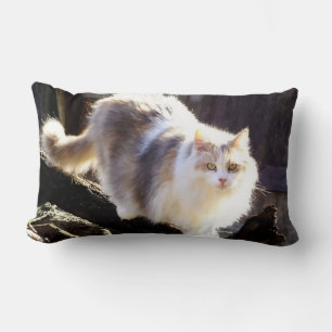 Coussin Rectangle Fluffy Dilute Calico Maine Coon Cat