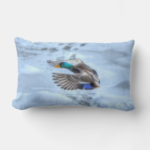 Coussin Rectangle Flying Mallard Duck Drake Wildlife Photo