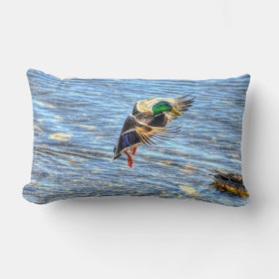 Coussin Rectangle Flying Mallard Duck Drake Wildlife Photo