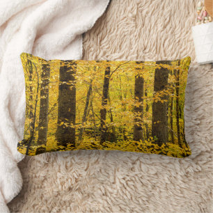 Coussin Rectangle Forêt nationale de Fall Pisgah