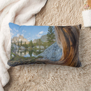 Coussin Rectangle Forêt nationale d'Inyo, Californie