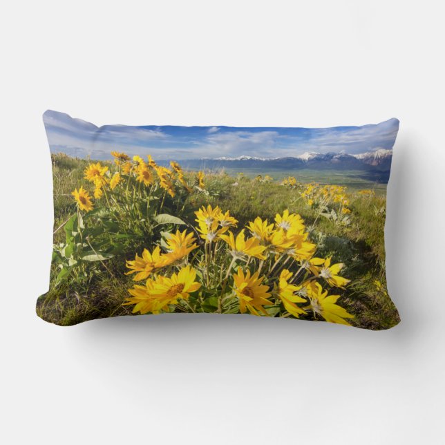 Coussin Rectangle Gamme nationale de bison (Recto)