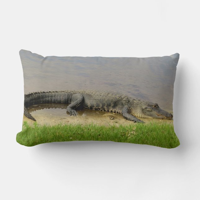 Coussin Rectangle Gentil et tranquille. Alligator de la Floride (Recto)