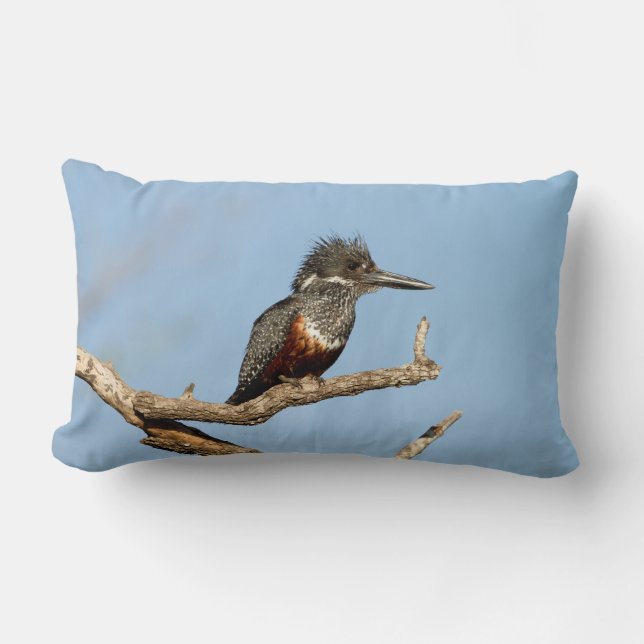 Coussin Rectangle Giant Kingfisher (Recto)