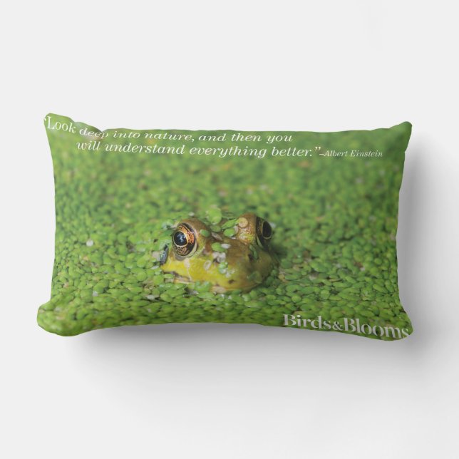 Coussin Rectangle Grenouille dans les algues vertes (Recto)