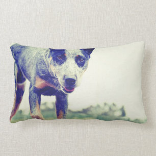Coussin Rectangle Heeler bleu