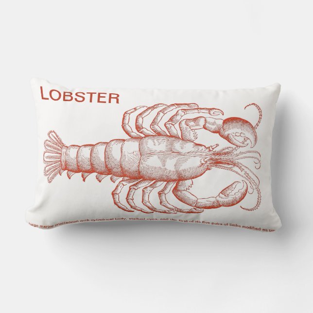 Coussin Rectangle Homard rouge (Recto)
