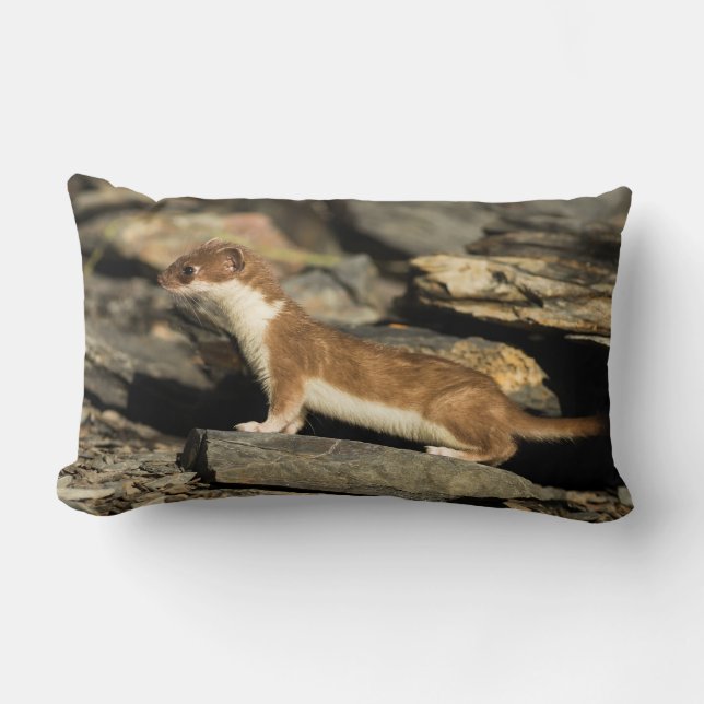 Coussin Rectangle Huile de chasse (Recto)