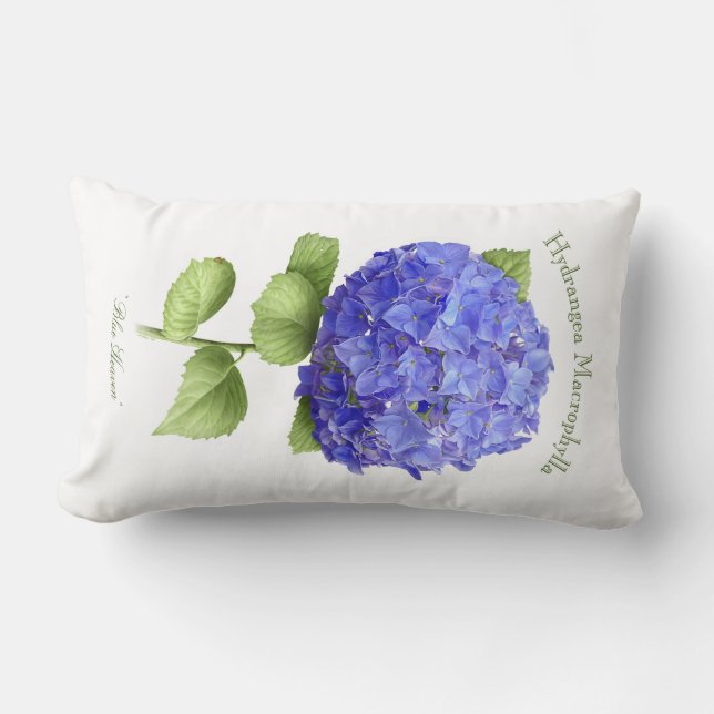 Coussin Rectangle Hydrangée bleue (Recto)