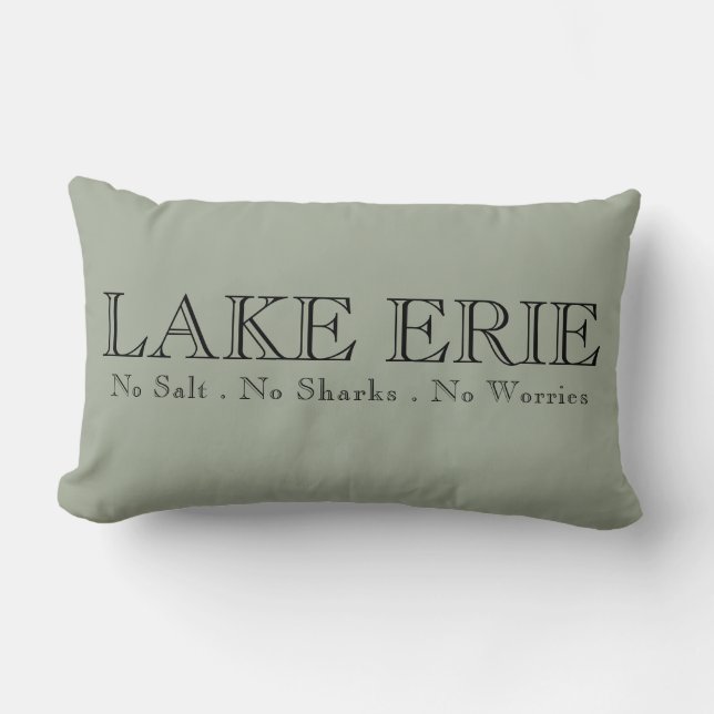 Coussin Rectangle I heart Lake Erie (Recto)