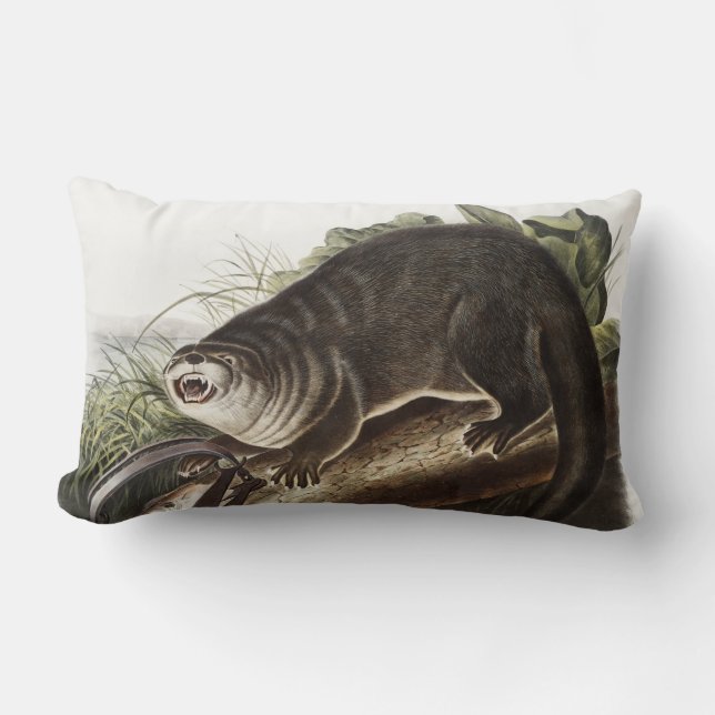 Coussin Rectangle Illustration de Canada Otter (Lutra Canadensis) (Recto)