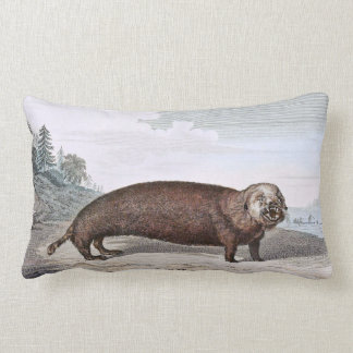 Coussin Rectangle Illustration de loutre de mer