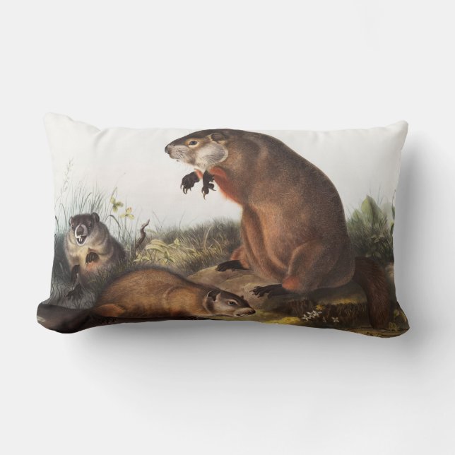 Coussin Rectangle Illustration de Woodchuck (Arctomys monax) (Recto)