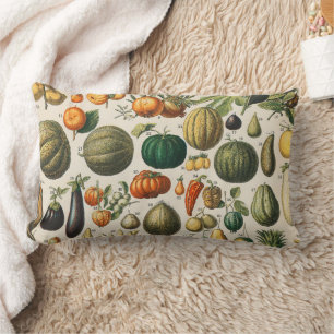 Coussin Rectangle Illustration scientifique végétale des fruits