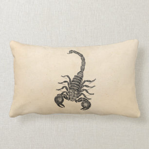 Coussin Rectangle Illustration vintage de scorpion de 1800s -