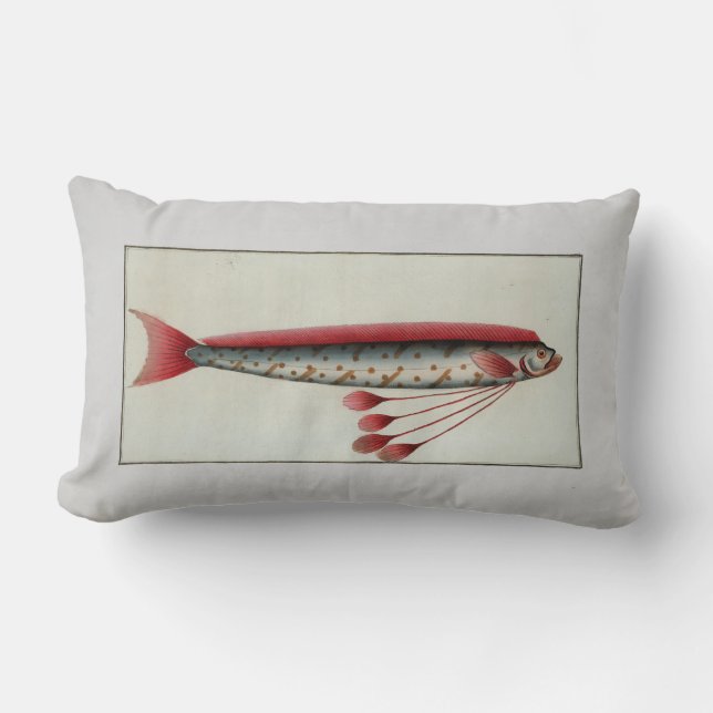 Coussin Rectangle Illustration vintage Le poisson de Hawken (Recto)