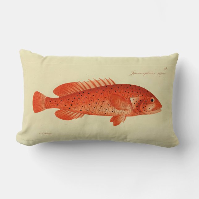 Coussin Rectangle Illustration vintage Poisson Le Coney (Recto)
