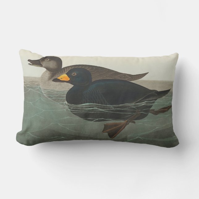 Coussin Rectangle Impression de Macreuse noire d'Audubon : Canard cô (Recto)