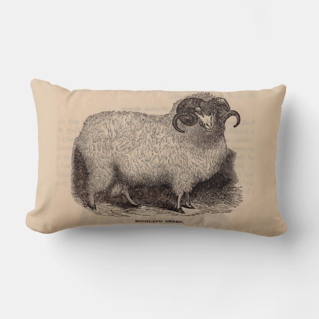 Coussin Rectangle Imprimerie du 19e siècle moutons des Highlands (Recto)