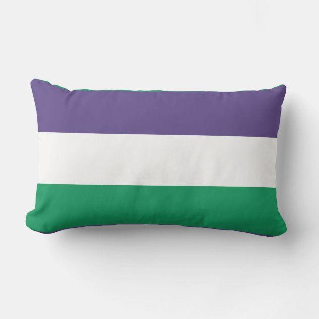 Coussin Rectangle Indicateur Suffragette (Recto)