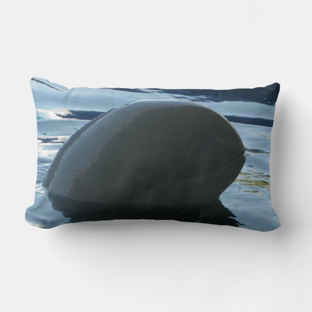 Coussin Rectangle Irrawaddy Dolphin Peek-A-Boo (Recto)