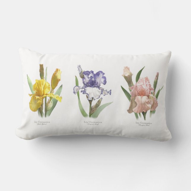 Coussin Rectangle Jardin de fleurs d'iris (Recto)