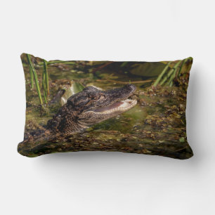 Coussin Rectangle Jeune Alligator