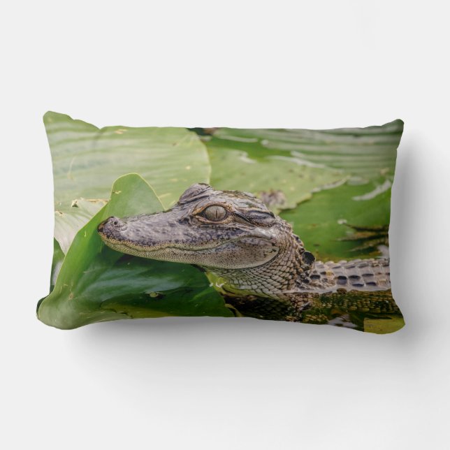 Coussin Rectangle Jeune alligator (Recto)