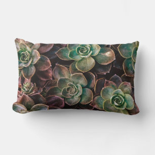Coussin Rectangle Joli #Succulent Plantes