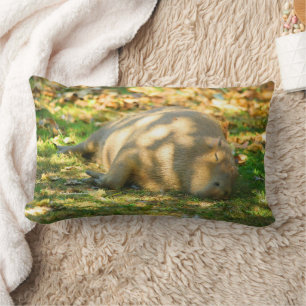 Coussin Rectangle Jolie Capybara rêve dans le soleil d'été
