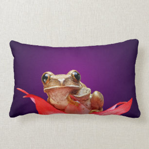 Coussin Rectangle Jolie petite grenouille marbrée brune pourpre prof