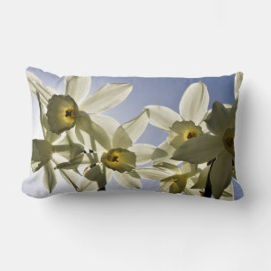 Coussin Rectangle Jonquilles qui fleurissent avec un ciel bleu print