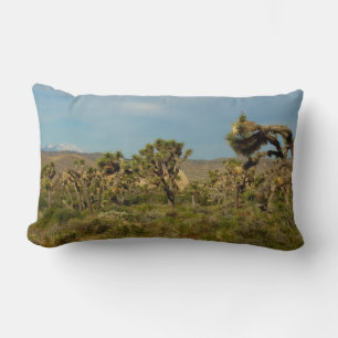 Coussin Rectangle Joshua Tree National Park Paysage du désert