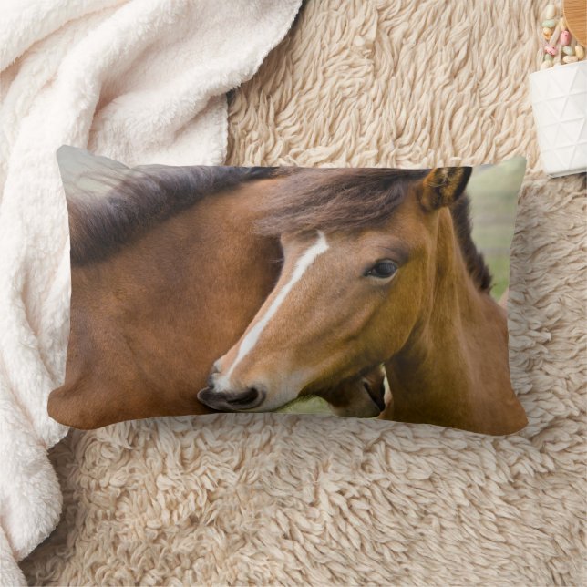 Coussin Rectangle Jument et poulain (Couverture)