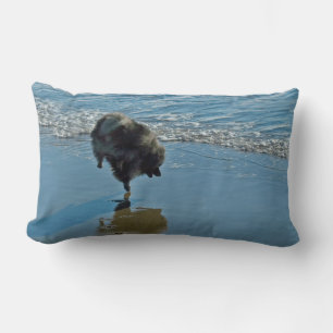 Coussin Rectangle Keeshond Ballet Photographie - Joli chien d'origin
